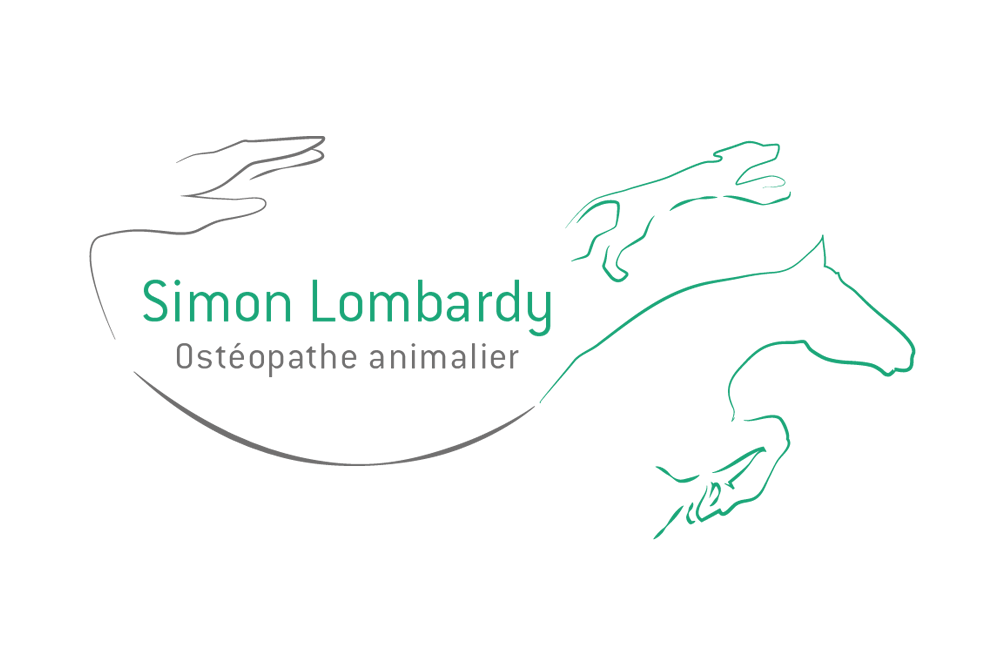 Osteopathe animalier Toulouse - Simon Lombardy