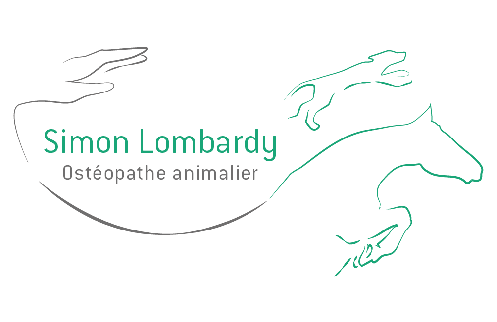simon_lombardy_osteopathe_equin_toulouse