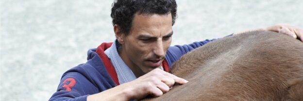ostéopathe pour animaux